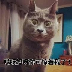 图片alt